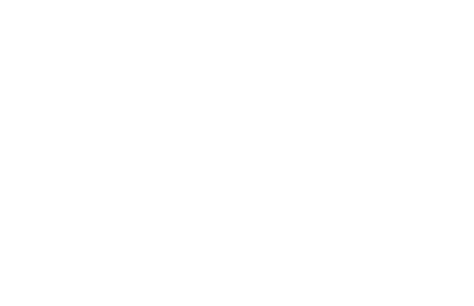 SEO Optimization Agency_White_Logo